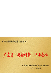 2023专精特新